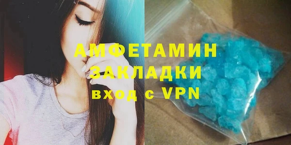 индика Алексин