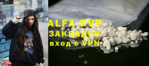 индика Алексин