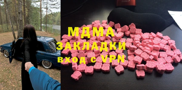 индика Алексин