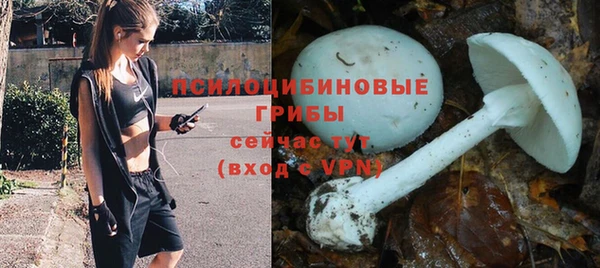 индика Алексин