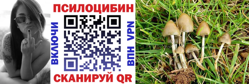 Псилоцибиновые грибы Cubensis  Салават 